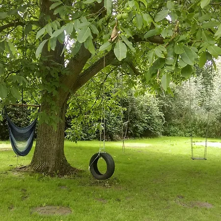 Bed & Breakfast Vlierhof *