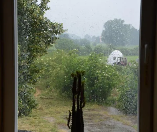 Vlierhof * كليفي