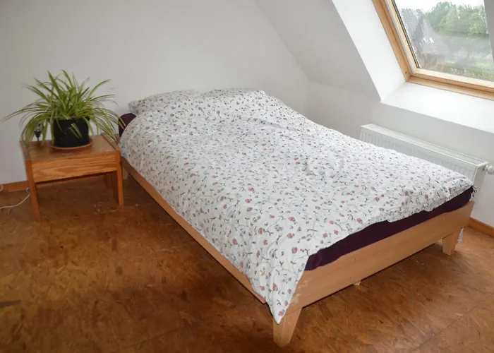 فندق مبيت وإفطار Vlierhof *